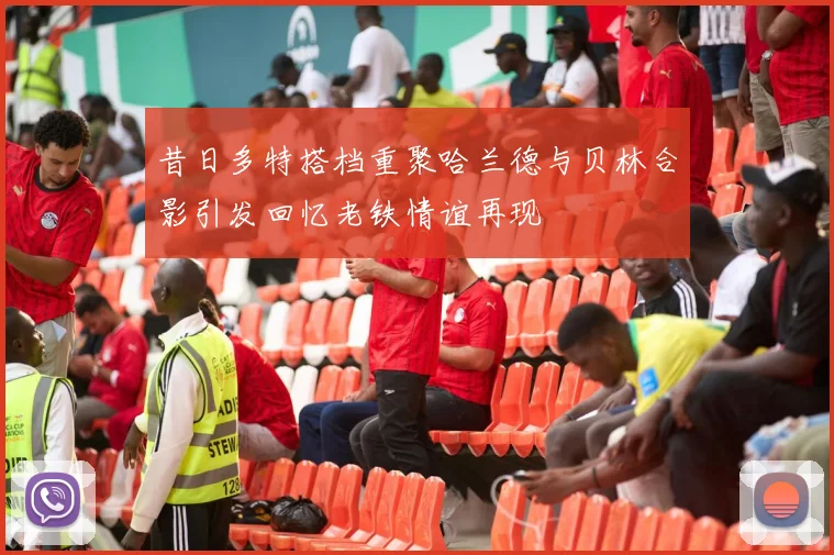 昔日多特搭档重聚哈兰德与贝林合影引发回忆老铁情谊再现