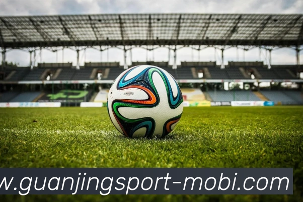 冠竞体育平台生态图