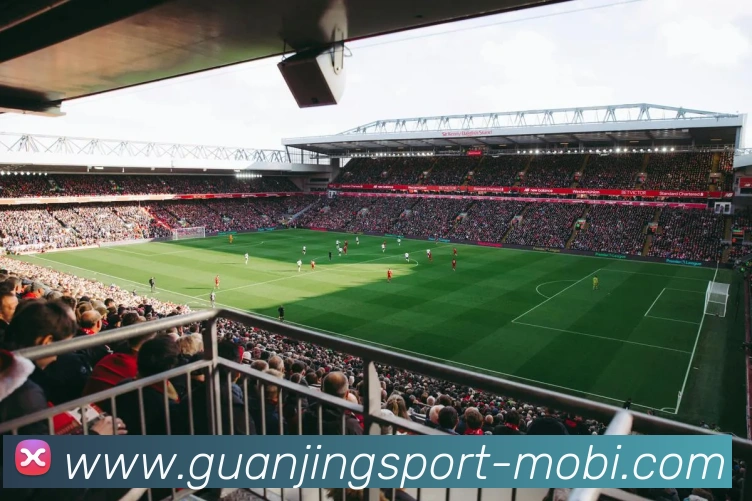 冠竞体育APP 封面图